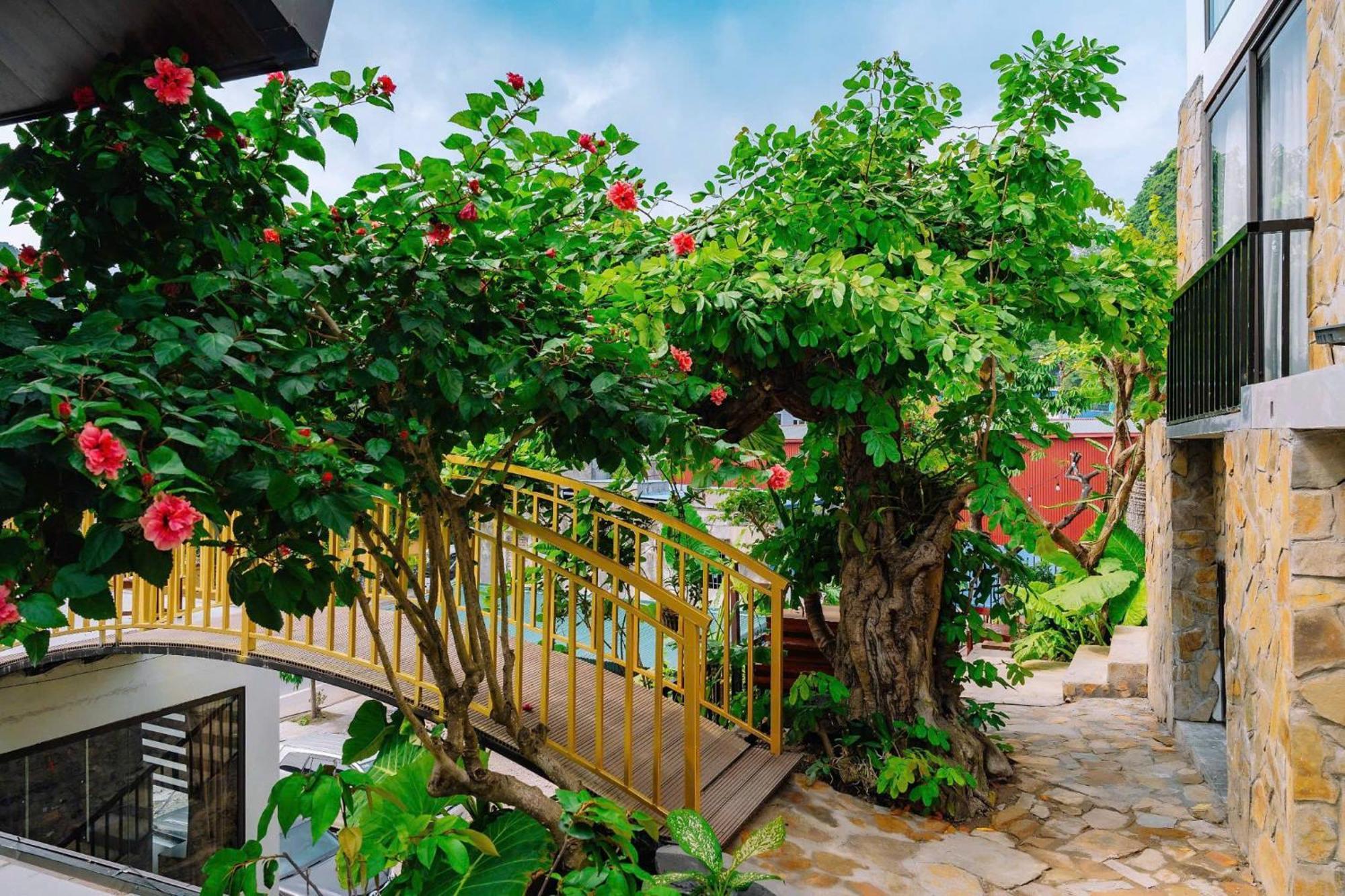Ecorest Villa Cat Ba Chan Chau Bagian luar foto